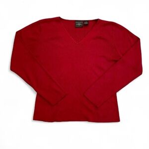 Tailor B. Moss Vibrant Red V-Neck Sweater